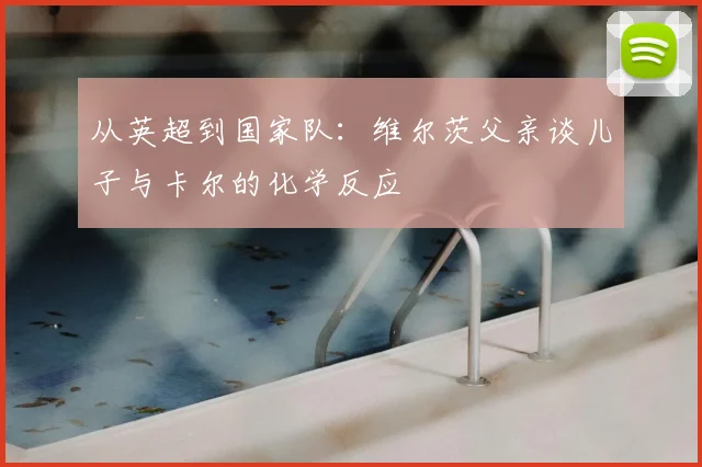 从英超到国家队：维尔茨父亲谈儿子与卡尔的化学反应